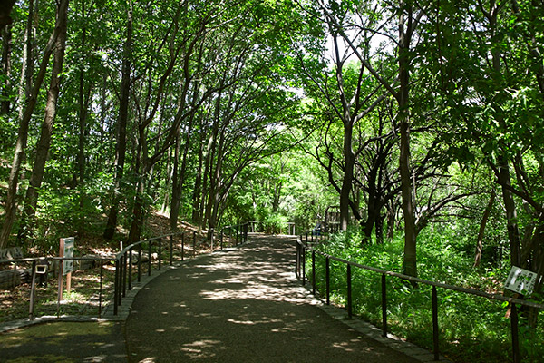 赤羽自然観察公園
