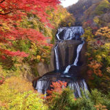 Autumn leaves at Fukuroda Falls