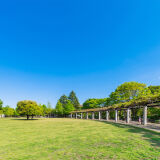 武藏国分寺公园