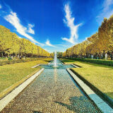 Autumn Foliage at Showa Memorial Park