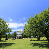 국제기독교대학