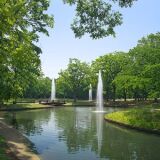 代々木公園