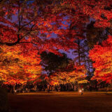 【観光】大田黒公園の紅葉
