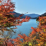 【観光】奥多摩湖の紅葉