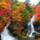 【観光】竜頭の滝の紅葉