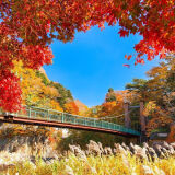 【観光】塩原温泉郷の紅葉