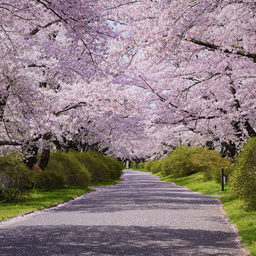 展勝地