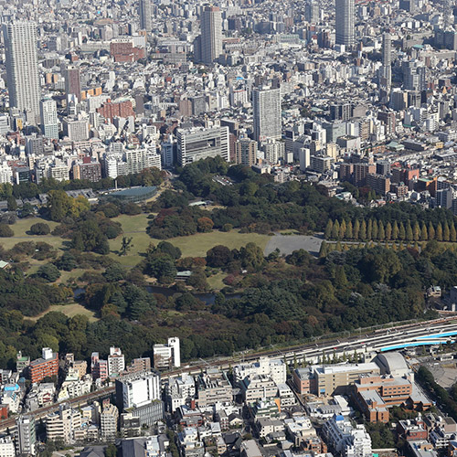 Shinjuku Gyoen National Garden