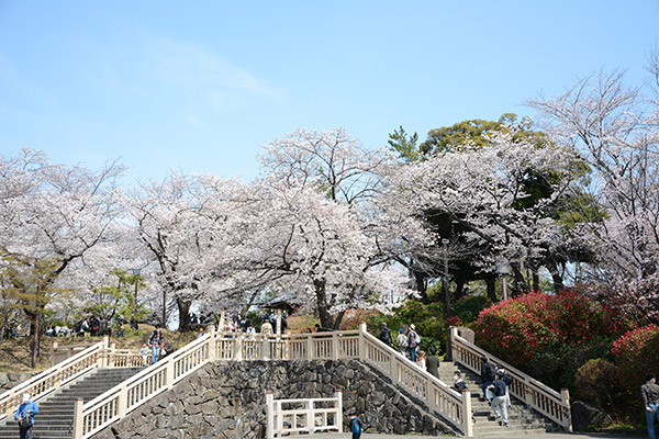 飛鳥山公園