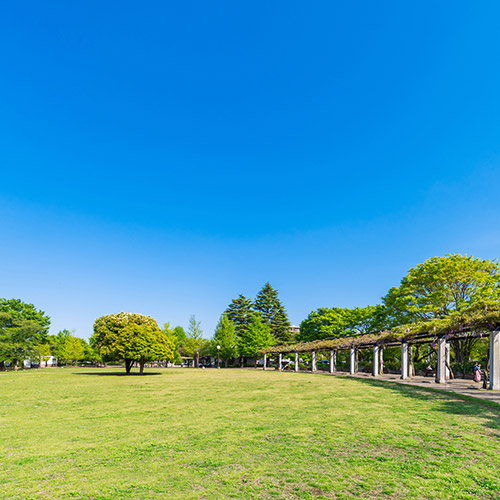 武藏国分寺公园