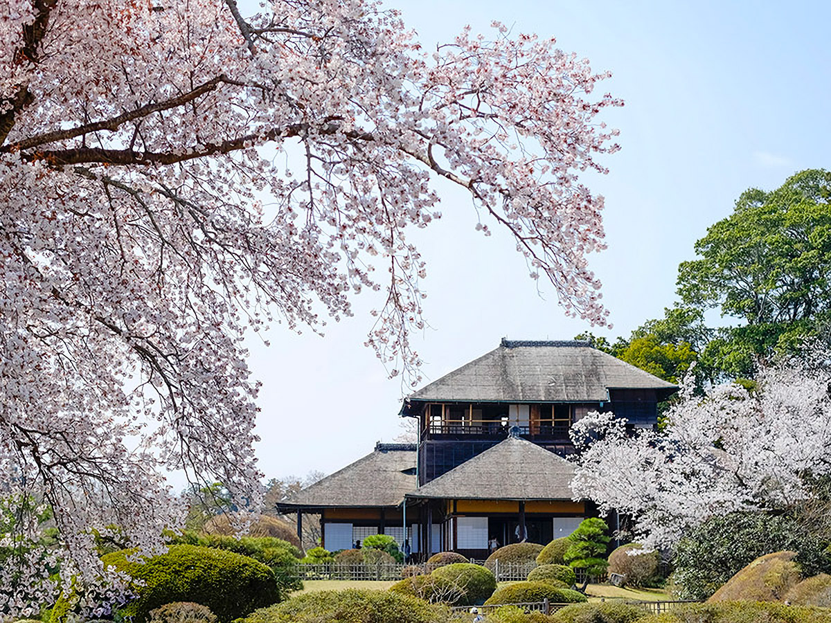 Ideal location for exploring the area around Mito.