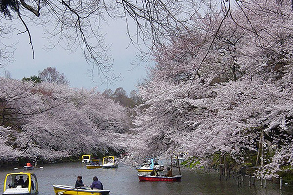 井の頭恩賜公園