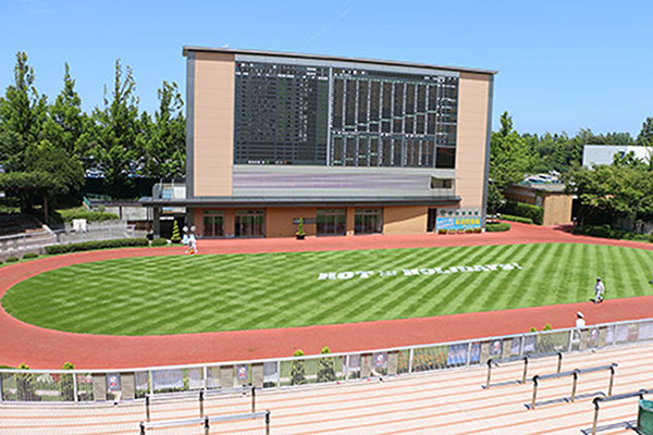新潟競馬場