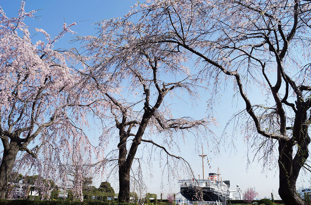 山下公園