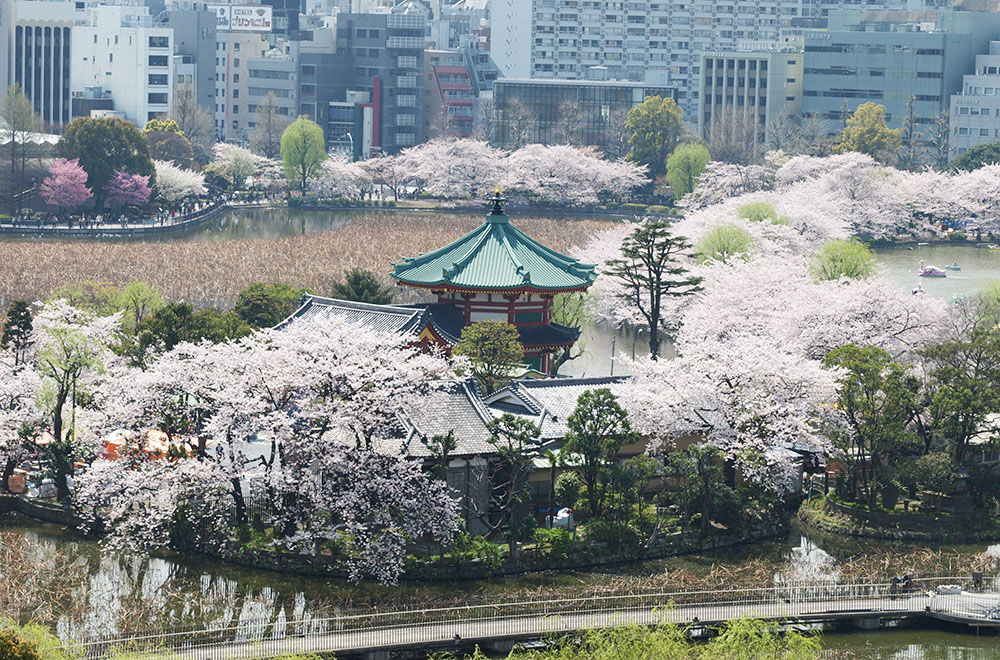 上野恩賜公園